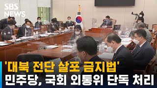 민주당, '대북 전단 살포 금지법' 국회 외통위 단독 처리 / SBS