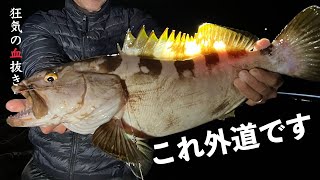 外道でクエが釣れたので血抜き味付けして食べた【狂気の血抜き92】