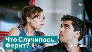 Неужели Я Поддамся Давлению Отца? | Зимородок