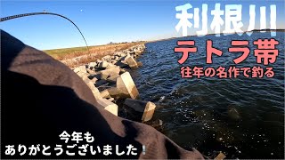 【利根川/おかっぱり】テトラにもおすすめのフリーリグ【今年もありがとうございました】2023.12.23