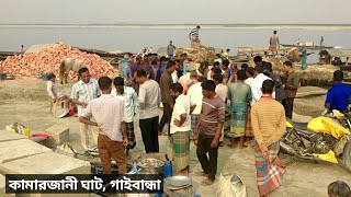 গাইবান্ধার কামারজানী ঘাট মাছের বাজার |  Kamarjani Ghat | Gaibandha Sadar