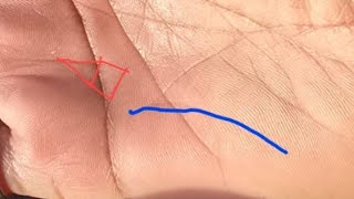 अति दुर्लभ रेखा, अंतर्ज्ञानी होगें ।।।। Palmistry Astrology in hindi