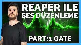 Reaper Seslendirme Ayarları: Profesyonel Ses Kayıtları için Adım Adım Rehber | Bölüm 1: GATE