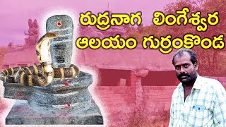 గుర్రంకొండ లో రుద్రనాగ లింగేశ్వర ఆలయం ఎక్కడ ఉంది RudraNaga Lingeswara Aalayam Gurramkonda