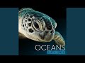A Drop in the Ocean