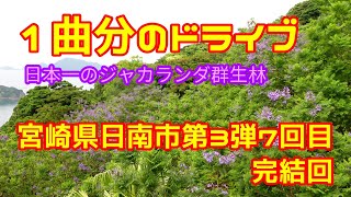 【宮崎ドライブ】宮崎県日南市第3弾7回目完結回　日本一のジャカランダ群生林を見よう！