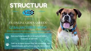 S4D #11 - Structuur tijdens de wandeling