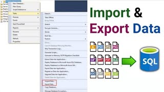 Import and Export Data from SQL Server in Easy Steps | How to import data in SQL | 2025 | Hindi