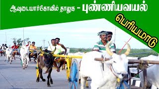 பெரியமாடு புண்ணியவயல் 20-07-2019 periya maadu vandi panthayam punniyavayal