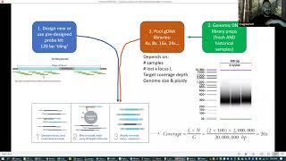 Sequence capture and reduced representation sequencing with Barrett Lab