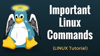 Important Linux Commands for Beginners: Linux Tutorial