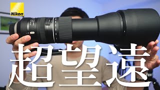 Nikonの超望遠レンズ4選│総額350万円使って分かった野鳥撮影の最短距離