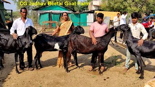 Chetan Jadhav Beetal Goat Farm Aurangabad Maharashtra