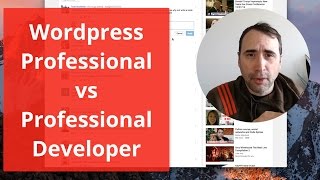 Wordpress Professional vs Professional Developer - which is best?