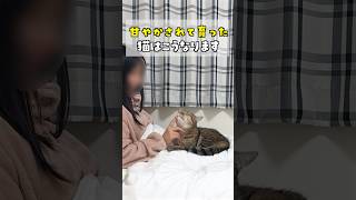 甘やかされて育った猫はこうなります！  #ポムしま