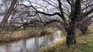 河北グランド〜羽黒駅