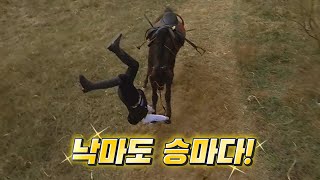 (K승마) 낙마도 승마다! (horse-riding)