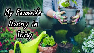 Best Nursery Shop in Trichy | Lotus Nursery Garden | With me Caleb.