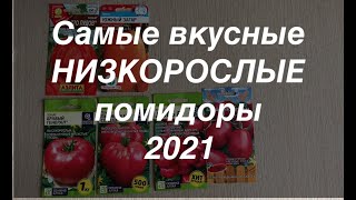 Низкорослые сорта помидор. Лучшие сорта помидор, Сорта помидор для теплицы