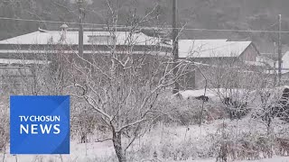 전국 영하권에 최대 20㎝ 눈…항공기·여객선 줄 결항 [뉴스퍼레이드]