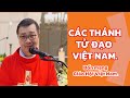 LỄ CÁC THÁNH TỬ ĐẠO VIỆT NAM - Bổn mạng Giáo Hội Việt Nam