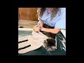 Subcutaneous fluids demo by veterinarian