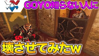 GOYO知らない人にハンマーで盾殴らせてみたwww【レインボーシックス 】