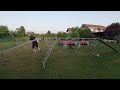 agility training │ 23. 6. 2021 │tala dutch shepherd