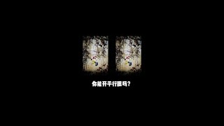 你会开平行眼吗？#平行眼 #裸眼3d #测评