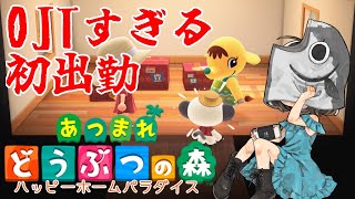 はじめてのハッピーホームパラダイス【あつまれどうぶつの森】