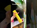 Mist Spray Bottle,Continuous 360 Sprayers useful kitchen Unique items || link In description #shorts