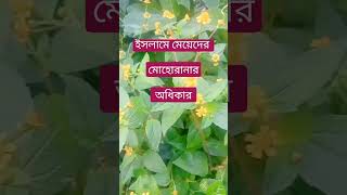 ইসলামে মেয়েদের মোহোরানার অধিকার! #সুবাহানআল্লাহ #আলহামদুল্লিলহ #আল্লাহু_আকবার #ইসলামিক_ভিডিও