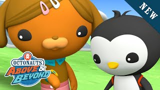 Octonauts: Above & Beyond - Pinto Recieves an Octo-Watch | Land Adventures | @Kidzuko