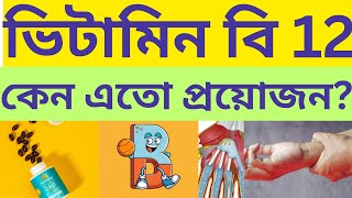 বি১২ এর অভাবের লক্ষণ| ভিটামিন বি১২ সমৃদ্ধ খাবার ।Vitamin B12  Vitamin B12 foods