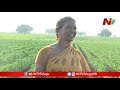 special focus on farmers lifestyle idhi jeevitham ntv