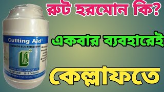 কাটিং এইড বা রুট হরমোন পাউডার কি? ডাল থেকে  যত খুশি চারা তৈরি করার সহজ পদ্ধতি।