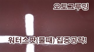 오토그루밍 / 디테일링 가이드 – 워터스팟(물때) 집중 공략하기