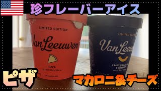 【アメリカのアイスクリーム】ピザ味とマカロニ＆チーズ味のアイスクリームがあったので、夫に何味か内緒で食べてもらった