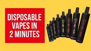 What is a Disposable Vape in 2 minutes