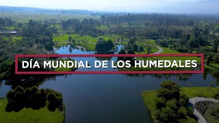 Día Mundial de los Humedales 🌎