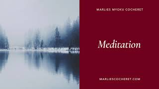 Marlies Myoku Cocheret | Meditation | Open Eyes, Open Belly