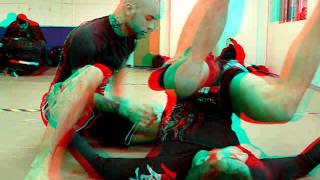 HOMA BJJ en 3D