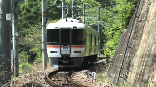 身延線の特急列車 (身延線　ワイドビューふじかわ 373系) Minobu Line WideView Fujikawa 373