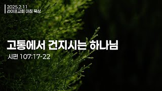 [아침묵상_시편] 고통에서 건지시는 하나님 (시편 107:17-22) / 라이프교회 아침 묵상 / 250211