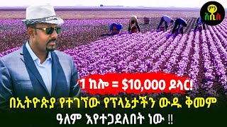 በኢትዮጵያ የተገኘው የፕላኔታችን ውዱ ቅመም አንዱ ኪሎ 10 ሺ ዶላር! ዓለም እየተጋደለበት ነው