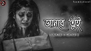 Jaan Re Tui Lofi_🖤🥀 (Slowed+Reverd) // জান রে এমন করে আমায় মারিস না💔// Bengali Full Song