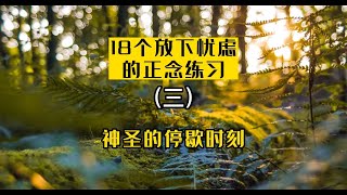 冥想引导｜练习3：神圣的停歇时刻｜18个放下忧虑的正念练习｜Guided Meditation—The Sacred Pause