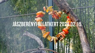 Jászberényi Állatkert 2020.02.15. (Jaszbereny Zoo)