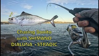 Chasing Bonito with Shimano Dialuna + Stradic