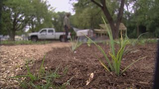 STUDY: Investing in community space leads to reduced crime in Indianapolis